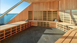 Celebrity Beyond sauna