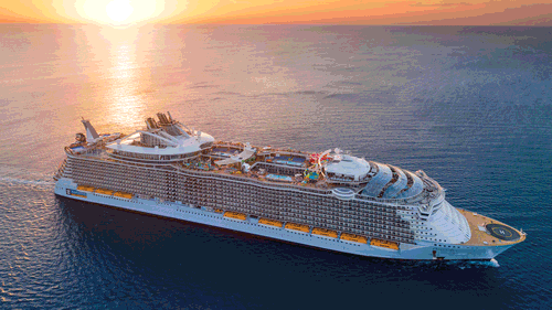 View Oasis of the Seas: 