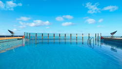 MSC Divina The Garden Pool