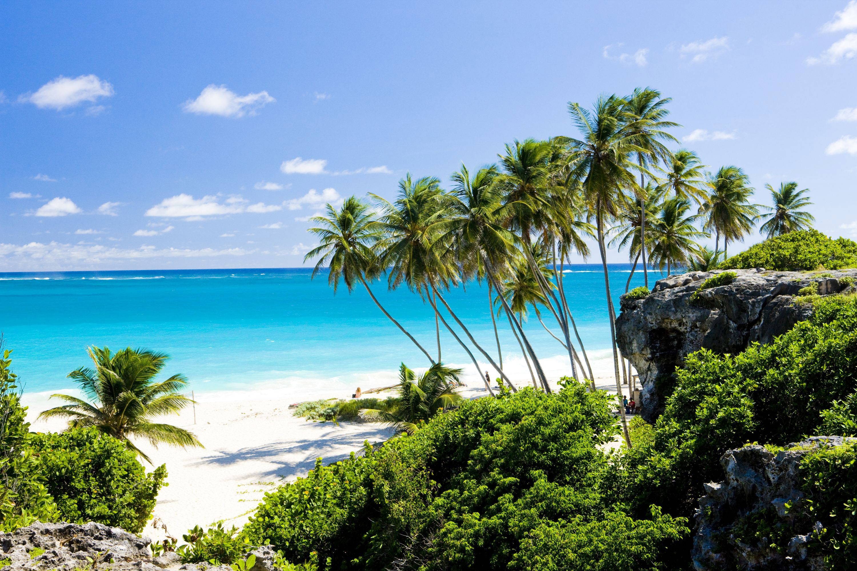 Eine Kreuzfahrt nach Barbados eignet sich auch für Familien