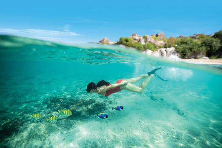Landausflug - Schnorcheln vor Tortola