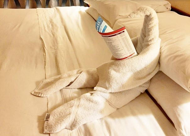 Spannende Fun Facts zu Kreuzfahrten