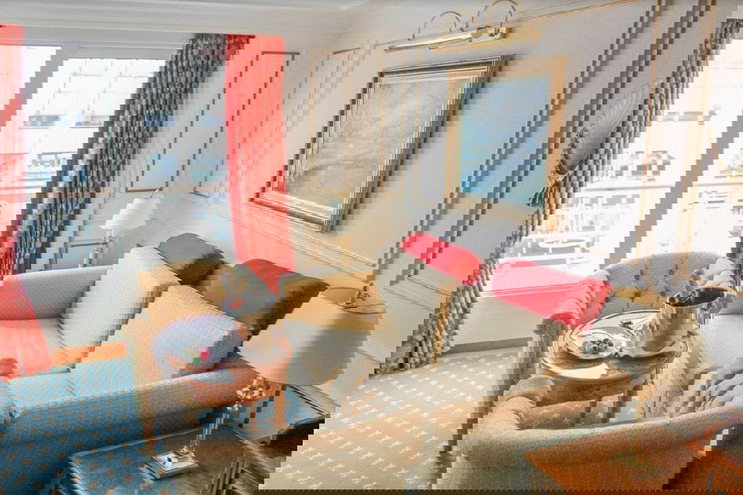 Suite MS Deutschland