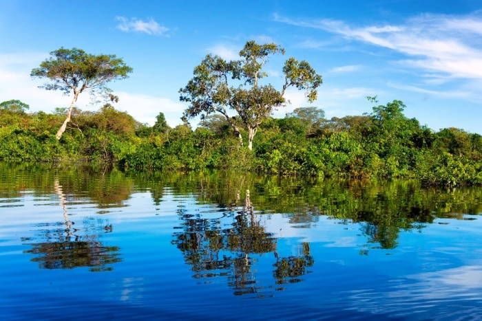 fotolia-143217628-amazonasregenwald-m-700.4o1qf6qw.jpg?width=700