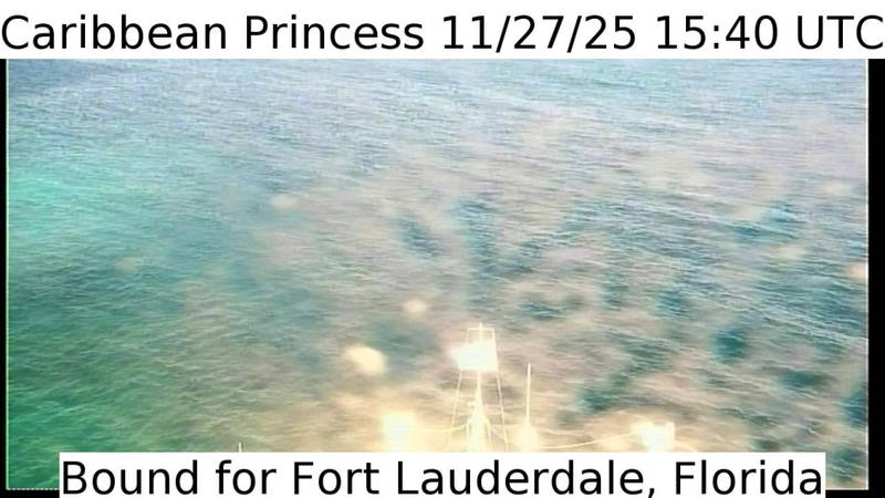 Aktuelle Schiffsansicht