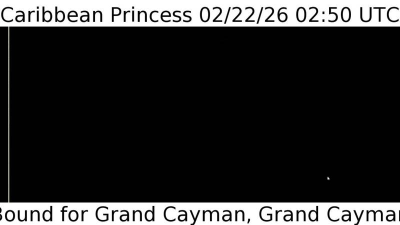 Aktuelle Schiffsansicht