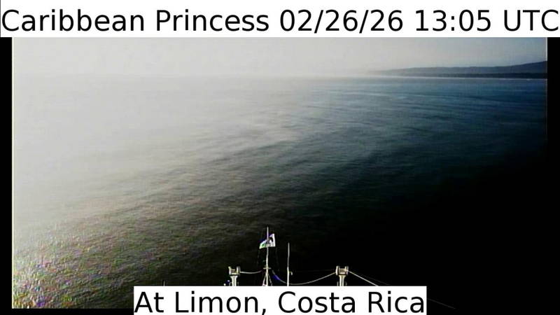 Aktuelle Schiffsansicht