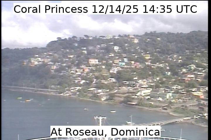 Aktuelle Schiffsansicht