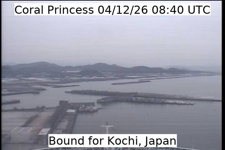 Aktuelle Schiffsansicht