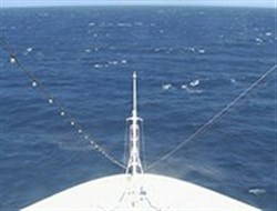 Aktuelle Schiffsansicht