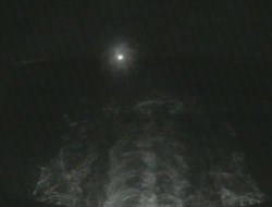 Aktuelle Schiffsansicht