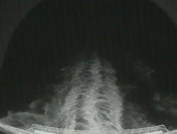 Aktuelle Schiffsansicht