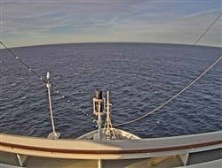 Aktuelle Schiffsansicht