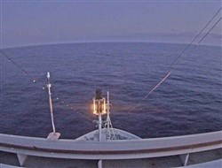 Aktuelle Schiffsansicht