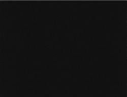 Aktuelle Schiffsansicht