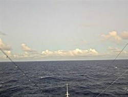 Aktuelle Schiffsansicht