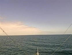 Aktuelle Schiffsansicht