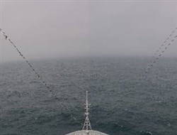 Aktuelle Schiffsansicht