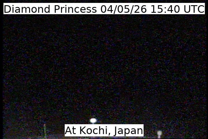 Aktuelle Schiffsansicht