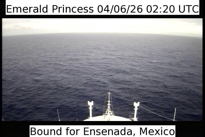 Aktuelle Schiffsansicht