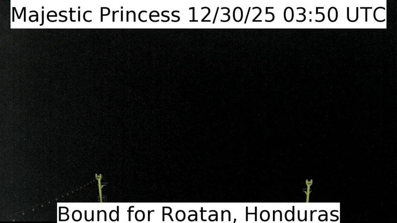 Aktuelle Schiffsansicht