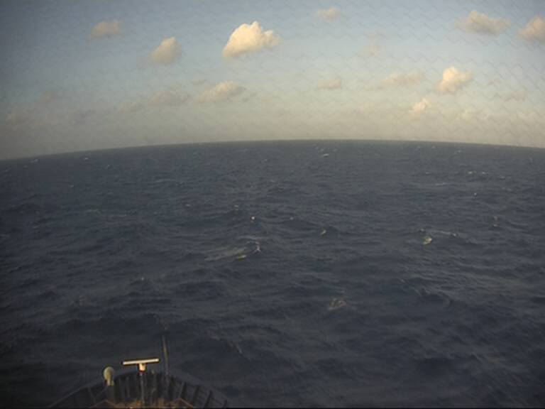 Aktuelle Schiffsansicht