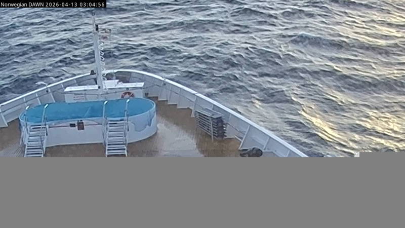 Aktuelle Schiffsansicht