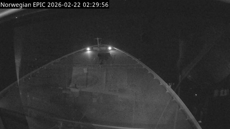 Aktuelle Schiffsansicht