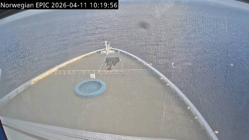 Aktuelle Schiffsansicht