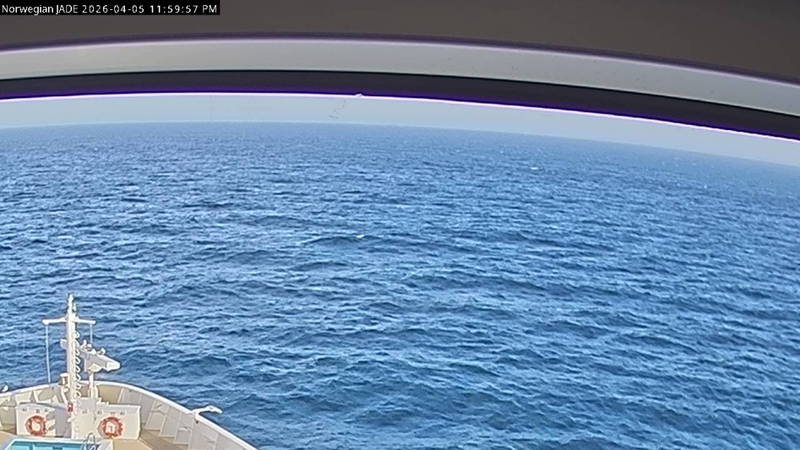 Aktuelle Schiffsansicht