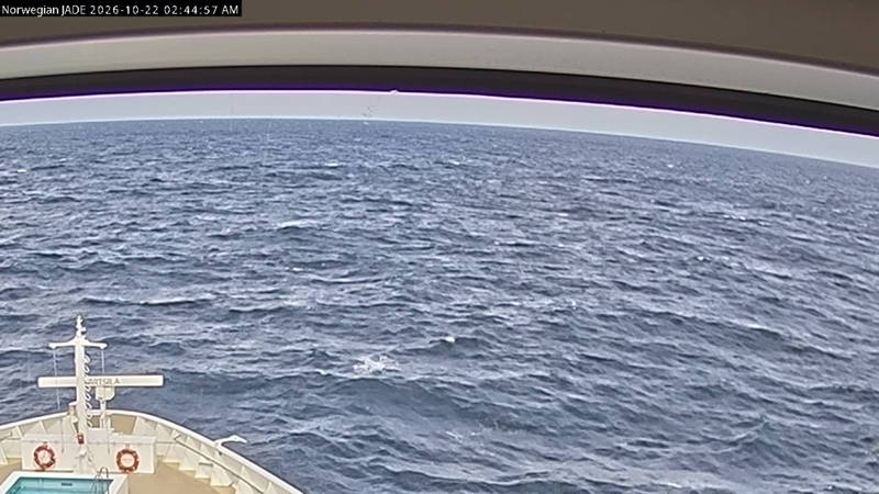 Current ship view