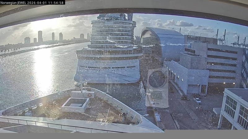 Aktuelle Schiffsansicht