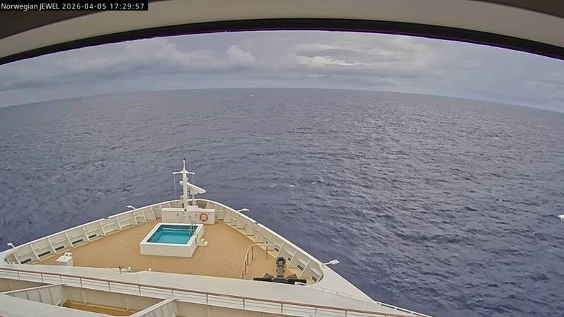 Aktuelle Schiffsansicht