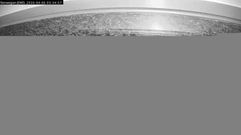 Aktuelle Schiffsansicht