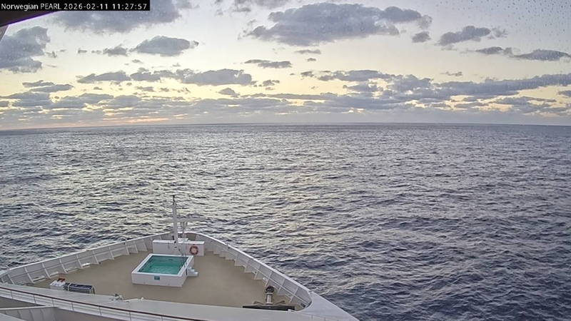 Aktuelle Schiffsansicht