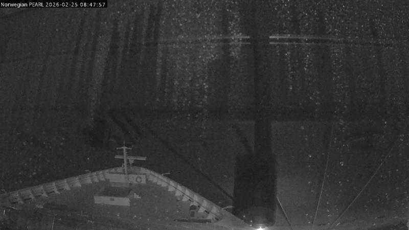 Aktuelle Schiffsansicht