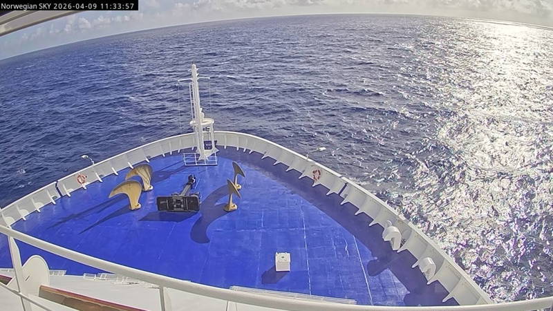 Aktuelle Schiffsansicht