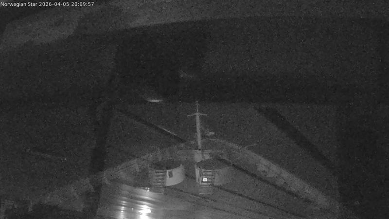 Aktuelle Schiffsansicht