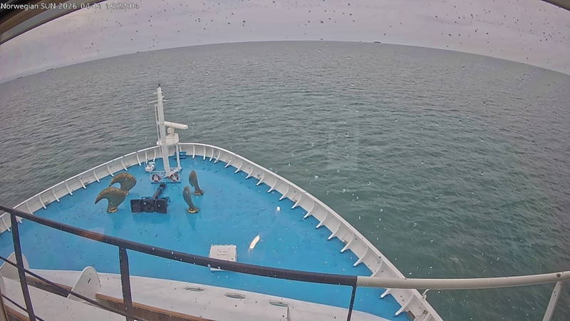 Aktuelle Schiffsansicht