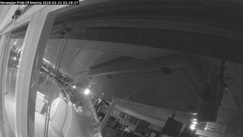 Aktuelle Schiffsansicht