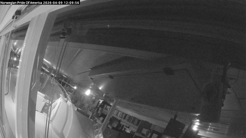 Aktuelle Schiffsansicht