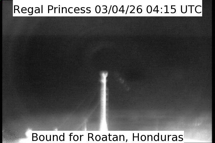 Aktuelle Schiffsansicht