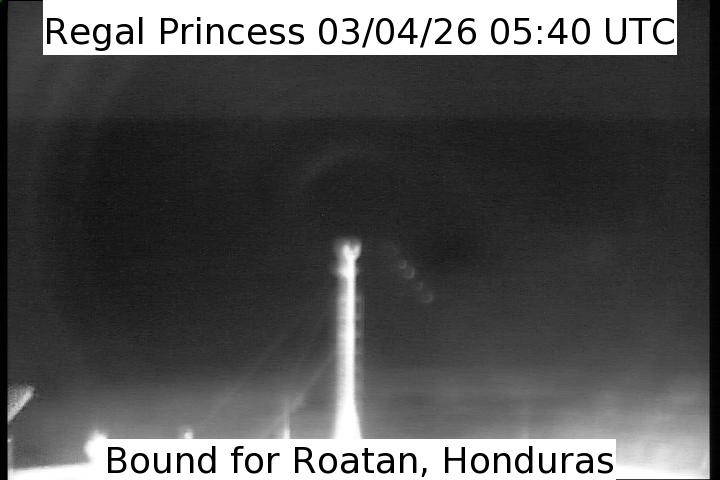 Aktuelle Schiffsansicht