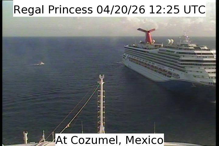 Aktuelle Schiffsansicht