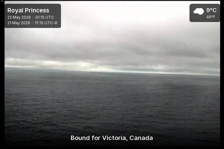 Current ship view