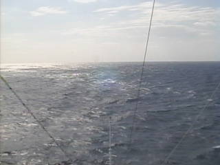 Aktuelle Schiffsansicht